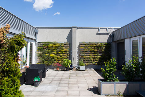 © ORF.at/Roland Winkler Begrünte Fassade auf Dachterrasse