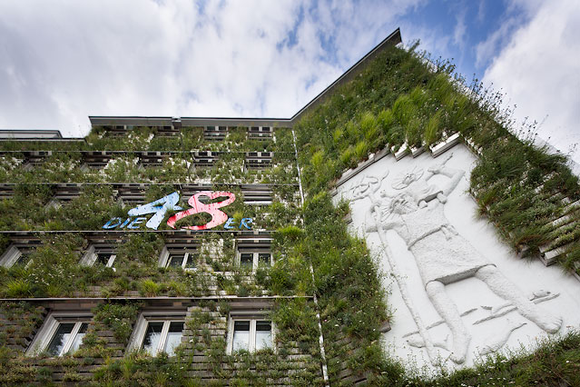 © ORF.at/Roland Winkler Haus mit begrünter Fassade