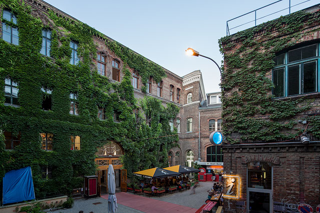 © ORF.at/Roland Winkler Haus mit begrünter Fassade