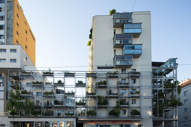 © ORF.at/Roland Winkler Haus mit begrünter Fassade