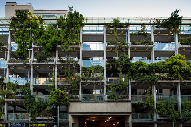 © ORF.at/Roland Winkler Haus mit begrünter Fassade