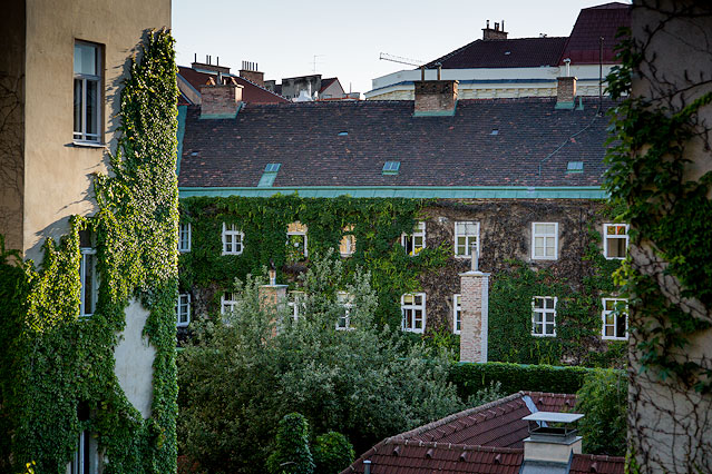 © ORF.at/Roland Winkler Haus mit begrünter Fassade