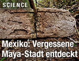 Steinskulptur in kürzlich entdeckten Maya-Stadt Chactun