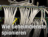 Netzwerkkabel