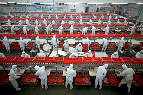 © AP/Alexander F. Yuan Schweineverarbeitungsfabrik der Shuanghui Group in Luohe