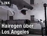 Fliegender Hai