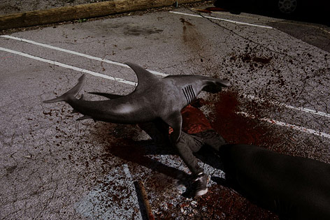 © The Asylum Szene aus "Sharknado"