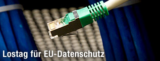 Netzwerkkabel