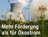 AKW hinter einer Wiese
