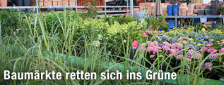 Gartenabteilung in einem Baumarkt