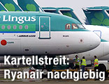 Flugzeuge von Aer Lingus