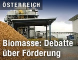 Biomassekraftwerk in G&uuml;ssing