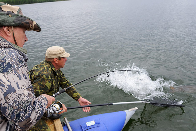 © APA/EPA/RIA Novosti/Alexei Nikolsky Vladimir Putin in Aktion