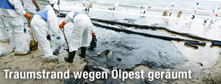 Säuberungsarbeiten am Strand