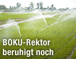 Feld wird bewässert