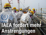 IAEA-Mitarbeiter
