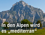 Blick auf den Traunstein