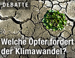 Ausgetrocknete Erde