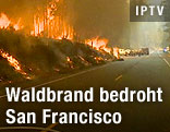 Waldbrand an Stra&szlig;enrand