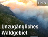 Waldbrand