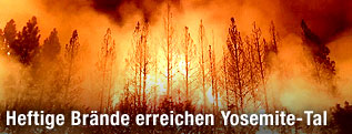 Waldbrand