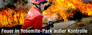 Feuerwehrmann im Einsatz