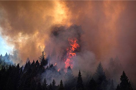 Luftaufnahme von Waldbrand