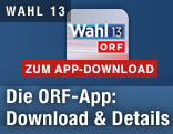 Logo mit Wahl 13