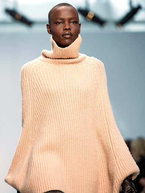 © APA/EPA/Etienne Laurent Wollponcho von Allude
