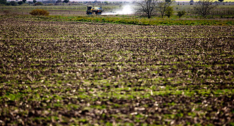 © AP/Natacha Pisarenko Traktor besprayt Feld mit Pestizide