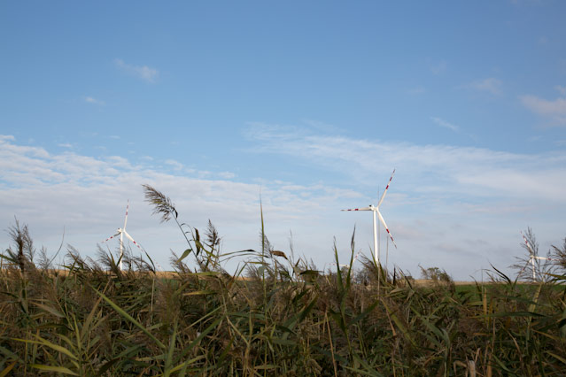 © ORF.at/Roland Winkler Landschaftszenen zwischen Hainburg und Bratislava
