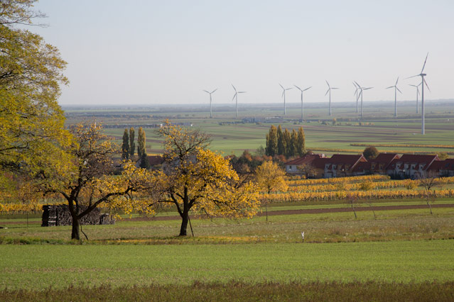 © ORF.at/Roland Winkler Landschaftszenen zwischen Hainburg und Bratislava