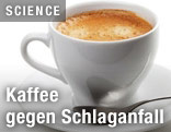 Kaffeetasse