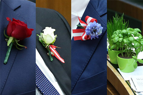 © ORF.at/Zita Köver Blumenschmuck
