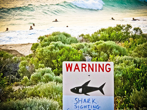 © APA/EPA/AAP/Rebecca le May Schild warnt vor Haien nahe Gracetown