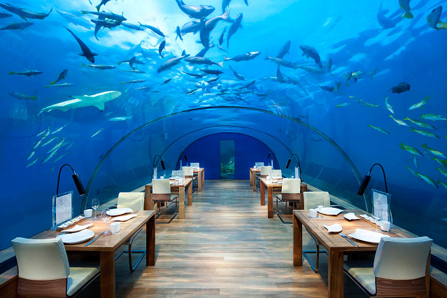 © 2013 Conrad Hotels & Resorts Das Ithaa Undersea Restaurant im Conrad Maldives