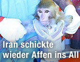 Affe, der ins All befördert wurde
