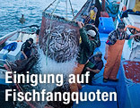 Ein Netz voller Fische wird auf ein Fischerboot gehoben