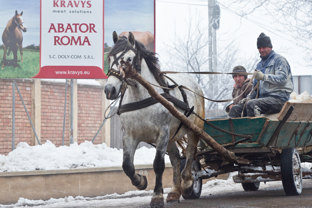 © AP/Vadim Ghirda Pferdegespann vor Plakat von Abator Roma