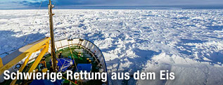 Das im Eis gefangene Schiff MV Akademik Shokalskiy