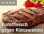 Gebratenes Steak aus Kunstfleisch