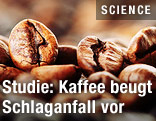 Kaffeebohnen