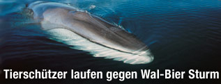 Finnwal