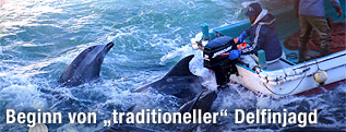 Delfinfänger auf einem Boot