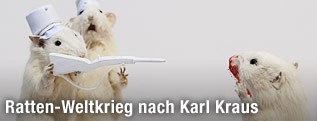 Ratteninstallation der Künstlerin Deborah Sengl