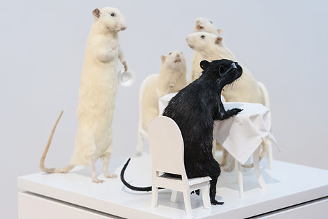 © ORF.at/Zita Köver Ausstellungsansicht