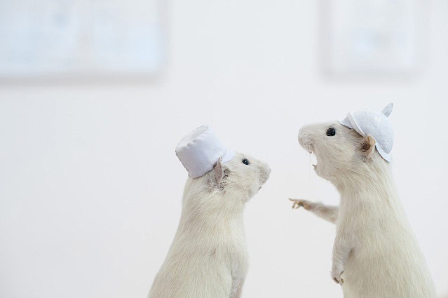 © ORF.at/Zita Köver Ratteninstallation der Künstlerin Deborah Sengl