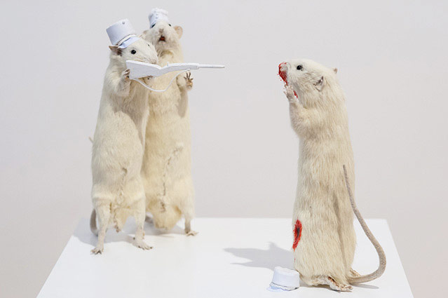 © ORF.at/Zita Köver Ratteninstallation der Künstlerin Deborah Sengl