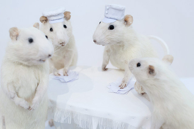 © ORF.at/Zita Köver Ratteninstallation der Künstlerin Deborah Sengl