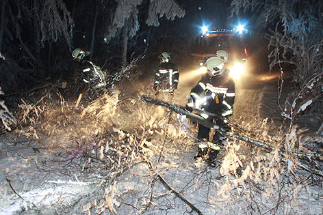 © FF Graz Feuerwehr entfernt Baumäste von der Straße
